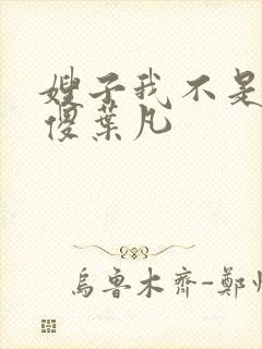 嫂子我不是真的傻叶凡封面
