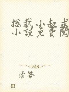 总裁小叔求放过小说免费阅读全文封面
