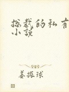 总裁的私有宝贝小说