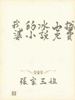 我的冰山总裁老婆小说免费