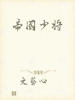 帝国少将