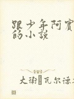 跟少年阿宾一样的小说