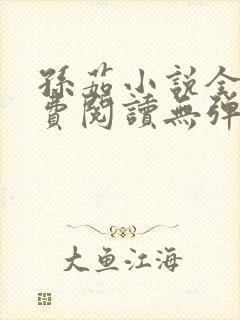 孙茹小说全文免费阅读无弹窗