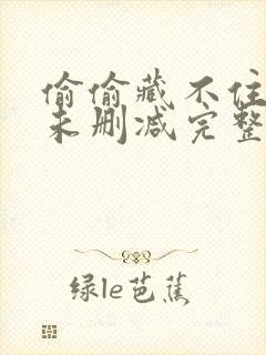 偷偷藏不住小说未删减完整版