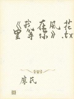 《我在风花雪月里等你》.txt封面