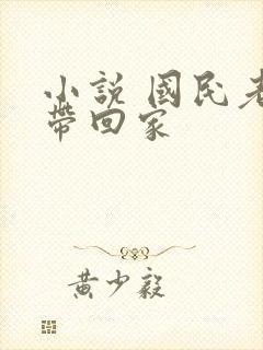 小说 国民老公带回家