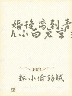 婚后脔到青梅哭h小白兔宫交h
