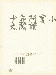 少年阿宾小说全文阅读