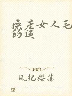 操老女人毛茸茸的逼