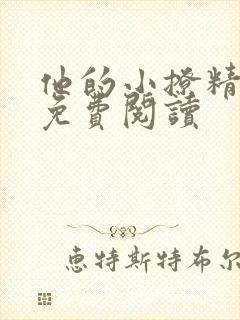 他的小撩精小说免费阅读