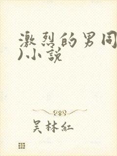 激烈的男同(h)小说封面