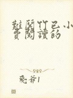 难哄竹已小说免费阅读的封面