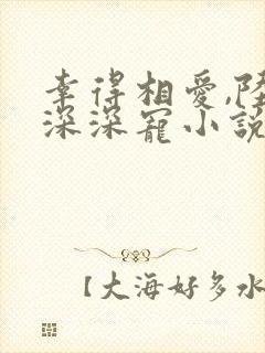 幸得相爱,陆少深深宠小说全文免费阅读封面