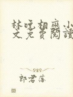 林晚相恋小说全文免费阅读封面