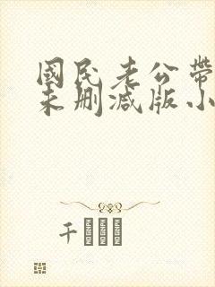 国民老公带回家未删减版小说