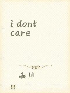 i dont care封面