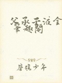 父承子液金银花 笔趣阁封面