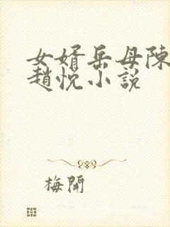 女婿岳母陈超,赵悦小说