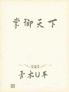 掌御天下