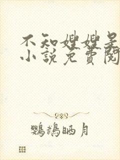 不知嫂嫂是驸马小说免费阅读封面