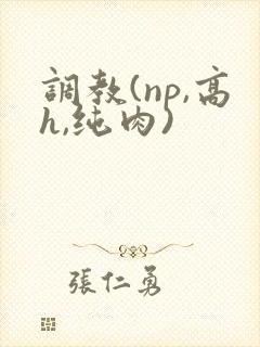 调教(np,高h,纯肉)