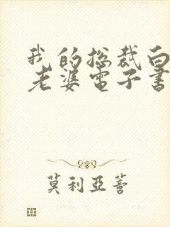 我的总裁白富美老婆电子书完整版