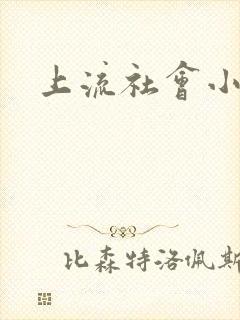 上流社会小说