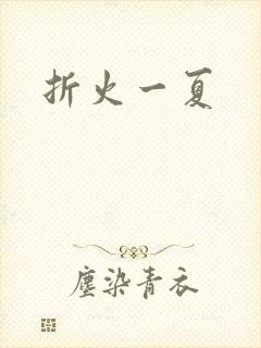折火一夏封面