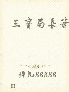 三宝局长萧燕封面