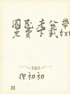 国民老公带回家免费下载txt封面