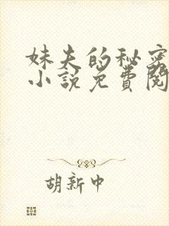 妹夫的秘密赵刚小说免费阅读