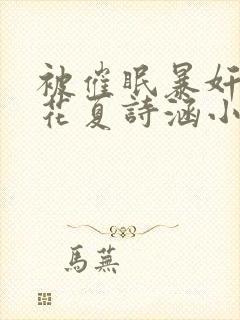 被催眠暴奸的校花夏诗涵小说