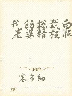 我的总裁白富美老婆精校版全本txt
