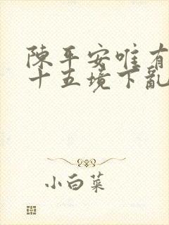 陈平安唯有一妈十五境下乱杀封面