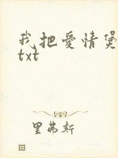 我把爱情煲成汤txt封面