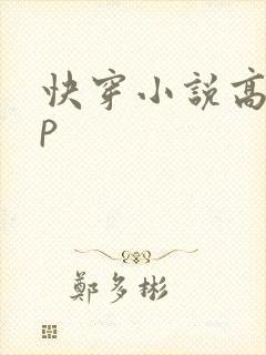 快穿小说高hnp