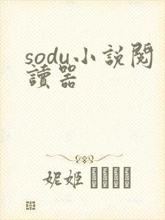 sodu小说阅读器
