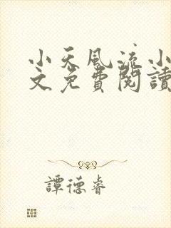 小天风流小说全文免费阅读无弹窗