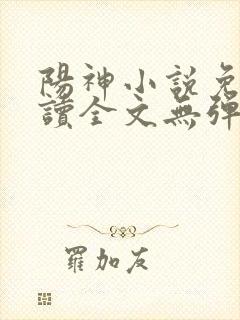 阳神小说免费阅读全文无弹窗