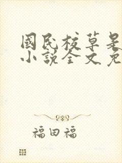 国民校草是女生小说全文免费阅读