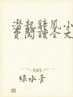 潜龙辞凤小说免费阅读全文最新章节封面