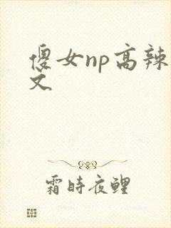 傻女np高辣h文
