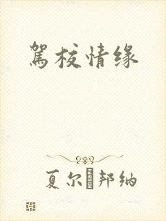 驾校情缘