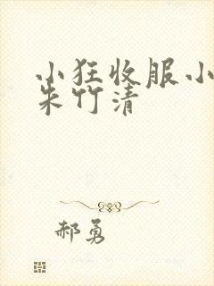 小狂收服小舞,朱竹清封面