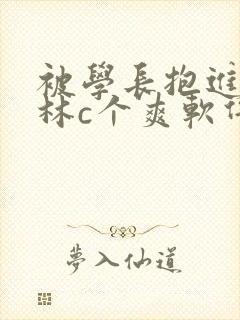 被学长抱进小树林c个爽软件