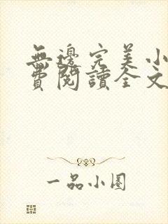 无边完美小说免费阅读全文最新章节