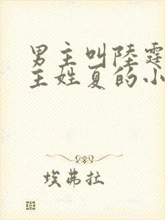 男主叫陆霆琛女主姓夏的小说