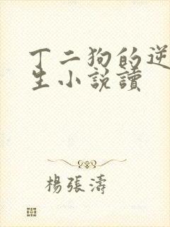 丁二狗的逆袭人生小说读
