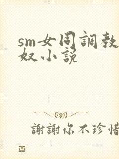 sm女同调教女奴小说