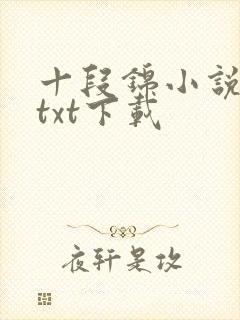 十段锦小说全本txt下载封面